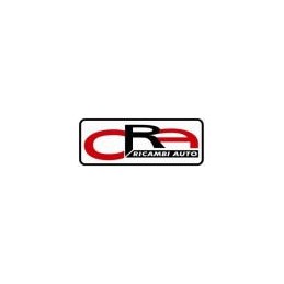 S. RIP. CARB. RENAULT